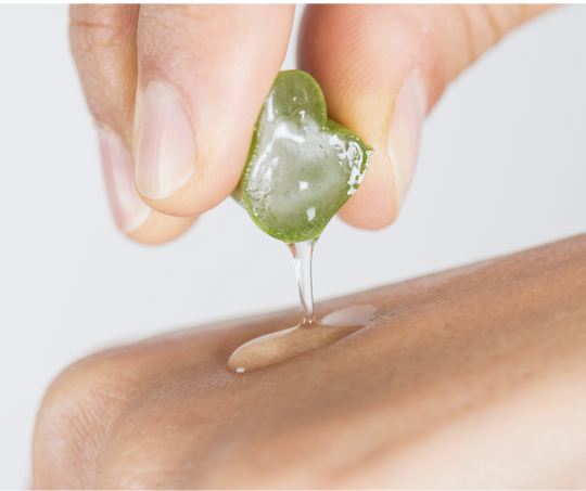 How Is Aloe Vera Good For Your Skin?
